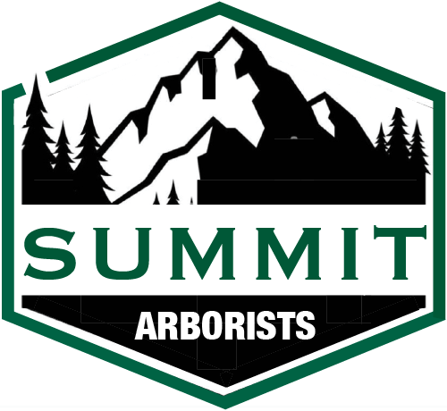 Home Summit Arborists Logo Header