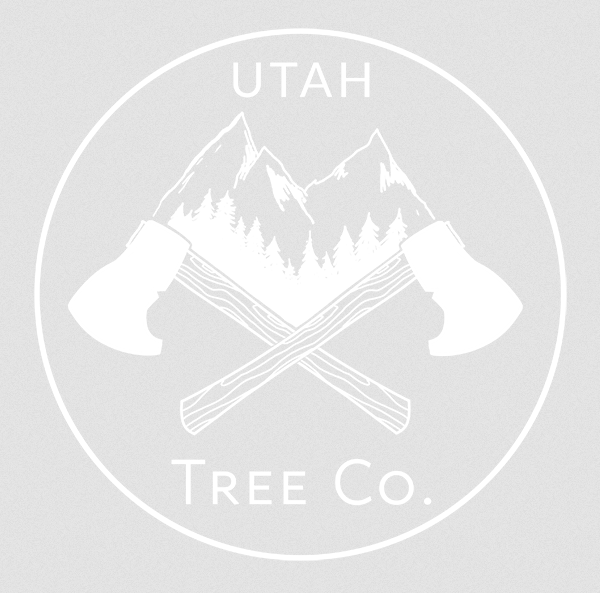 Home treeco logo